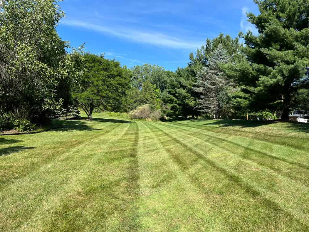 Weekly Turf Maintenance image