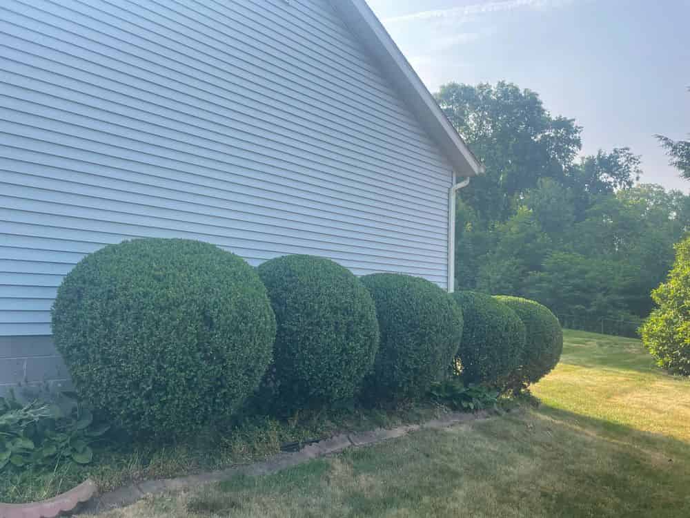 Seasonal Pruning image