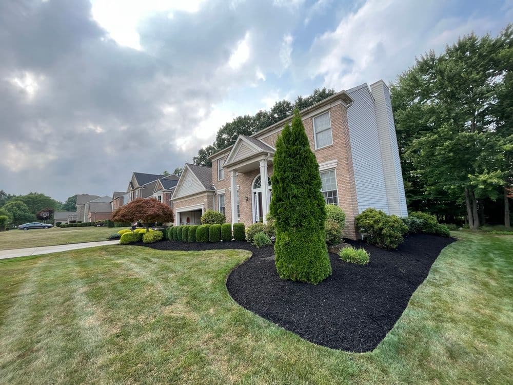 Project Mulch and Edging 7/24/2024 image