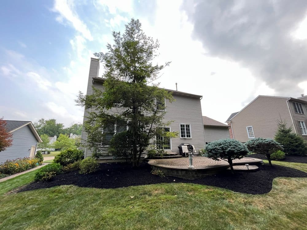 Gallery photos for Mulch and Edging 7/24/2024: Image #3
